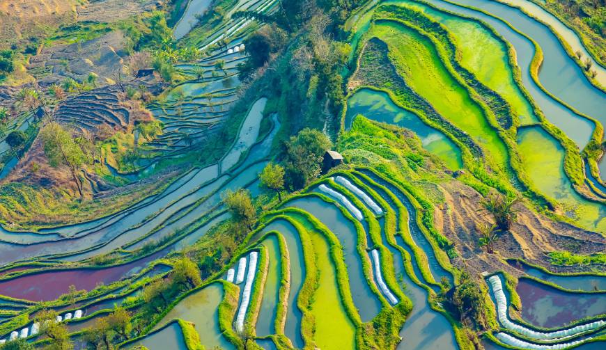 宝妈必备神器：西峰区产品视频拍摄轻松育儿好帮手