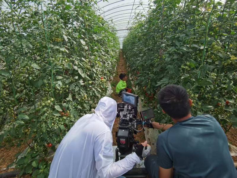 西峰区产品宣传视频拍摄公司进阶指南，助力品牌抢占传播高地